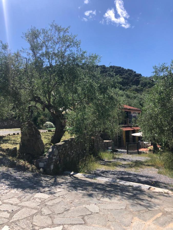 Appartement Ca Di Matti - Casa Libeccio à Diano Borello Extérieur photo